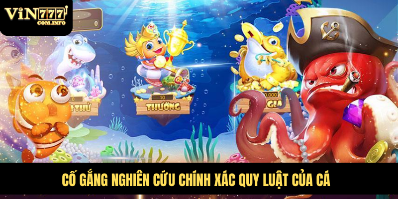 Cố gắng nghiên cứu chính xác quy luật của cá