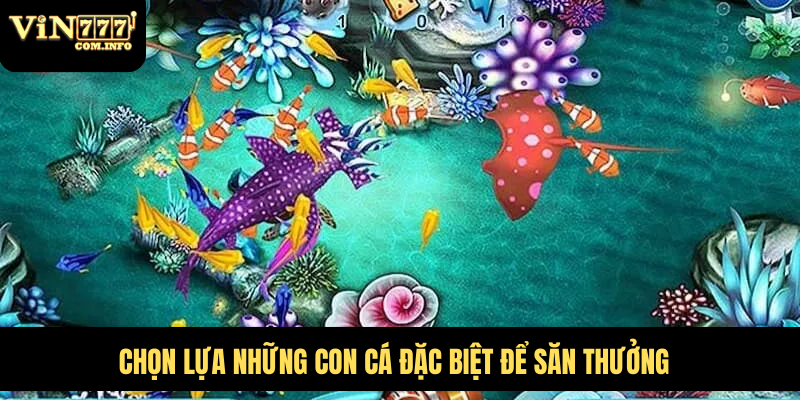Chọn lựa những con cá đặc biệt để săn thưởng