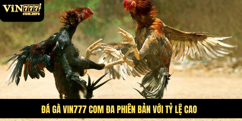 Hướng Dẫn Chơi Đá Gà VIN777 com Chi Tiết Với Quy Tắc Chuẩn 1 Đá gà VIN777 com đa phiên bản với tỷ lệ cao