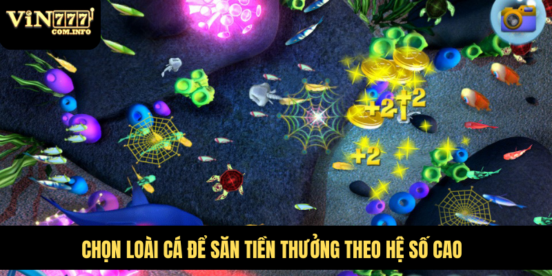 Chọn loài cá để săn tiền thưởng theo hệ số cao
